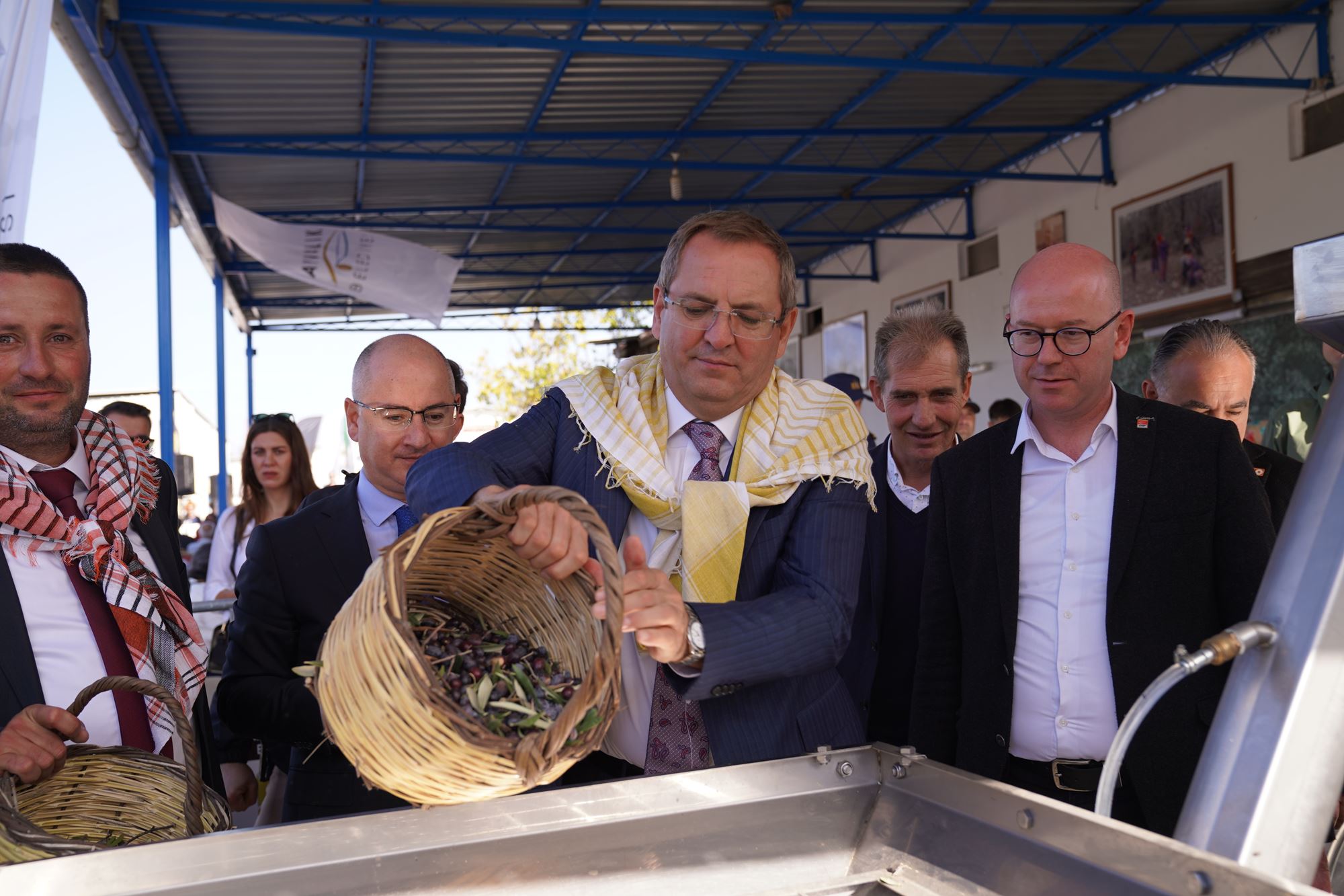 AYVALIK’TA ZEYTİN HASAT FESTİVALİ BAŞLADI (1)