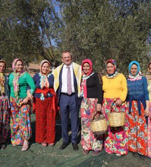 AYVALIK’TA ZEYTİN HASAT FESTİVALİ BAŞLADI