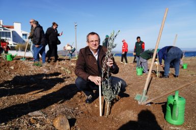 MESUT ERGİN: “DÜNYA ZEYTİN AĞACI GÜNÜ KUTLU OLSUN”