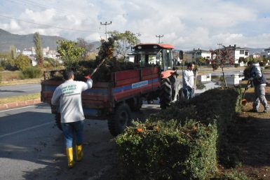 EDREMİT’TE SONBAHAR ÇALIŞMALARI DEVAM EDİYOR  12 AY DÜZENLİ YEŞİL ALANLAR