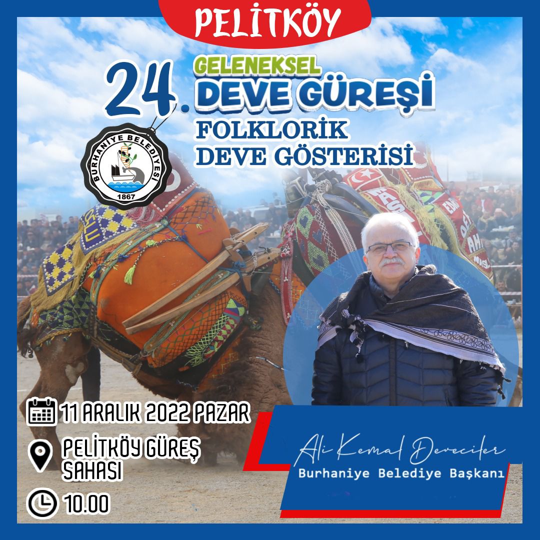 24. PELİTKÖY DEVE GÜREŞLERİ (1)