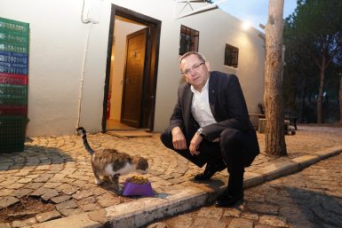 AYVALIK BELEDİYESİ CAN DOSTLARININ MAMASINI ÜRETİYOR