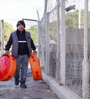 ESKİ LASTİKLER BARINAKTAKİ CAN DOSTLARIMIZ İÇİN YATAK OLDU