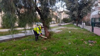 DÖRT MEVSİM YEŞİL EDREMİT İÇİN