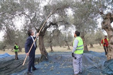 BAŞKAN ARSLAN ZEYTİN İŞÇİLERİNE TEŞEKKÜR ETTİ