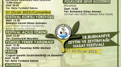 BURHANİYE’DE ZEYTİN HASAT FESTİVALİ VE DEVE GÜREŞLERİ BAŞLIYOR