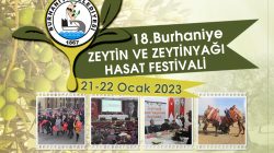 BURHANİYE ZEYTİN HASAT FESTİVALİNE GERİ SAYIM BAŞLADI