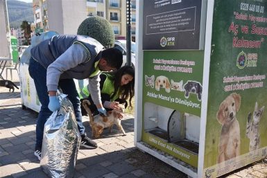 Deprem bölgesindeki sokak hayvanları unutulmadı