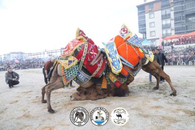 “SEZONUN EN İYİ GÜREŞİ BURHANİYE’DE YAPILDI”