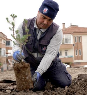 KARESİ YEŞİLLENİYOR