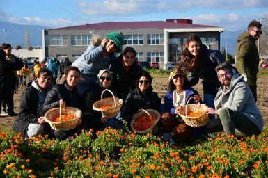 Aromatik bitki yetiştiriciliğini BAÇEM de öğreniyorlar