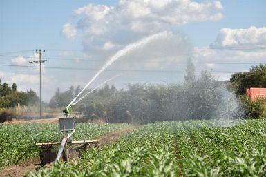 BBB kuraklığa karşı önlem alıyor