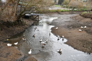 Değirmen Boğazı nda balçık temizliği