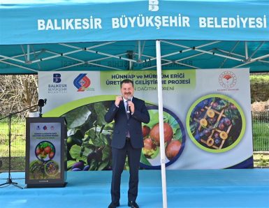 Büyükşehir den çiftçiye hünnap ve mürdüm eriği desteği