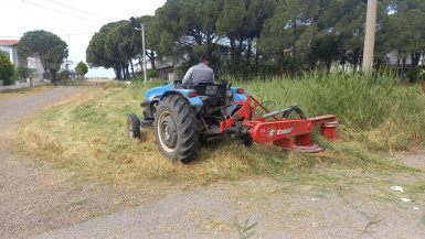AYVALIK’TA, PARK VE BAHÇELER DETAYLI TEMİZLİK ÇALIŞMALARINI SÜRDÜRÜYOR