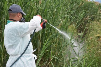 EDREMİT’TE SİVRİSİNEK İLE MÜCADELE