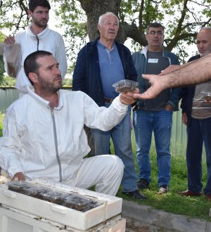 20 bin kraliçe evlerine uçtu