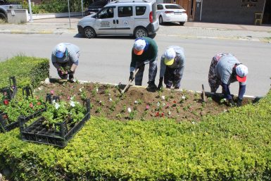 BURHANİYE ÇİÇEKLERLE RENKLENİYOR