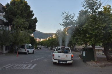 Sineksiz bir kent için çalışıyoruz
