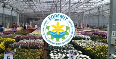 EDREMİT TDİOSB PARSELLERİ SATIŞA SUNULDU, YATIRIMCILARINI BEKLİYOR