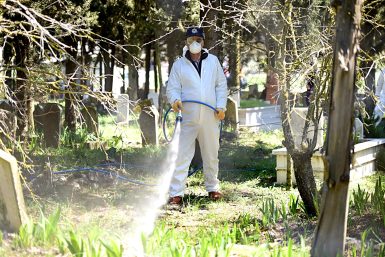 KARESİ’DE HAŞERE İLE MÜCADELE SÜRÜYOR