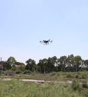 BURHANİYE’DE SİNEKLE MÜCADELEDE YENİ ÇÖZÜM