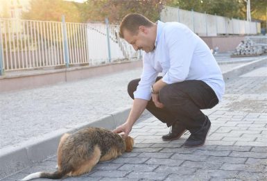 BBB den Bandırma ya da Sokak Hayvanları Tedavi Merkezi
