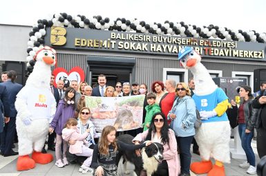 BBB sokak hayvanları için var gücüyle çalışıyor