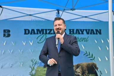 85 üreticiye 585 küçükbaş desteği