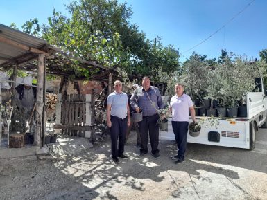 EDREMİT’TEN ÇANAKKALE’YE 250 ZEYTİN FİDANI