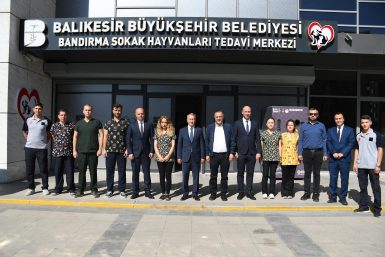 Bandırma da yüzlerce sokak hayvanına şifa olduk