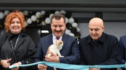 Türkiye ye örnek Bandırma Sokak Hayvanları Tedavi Merkezi