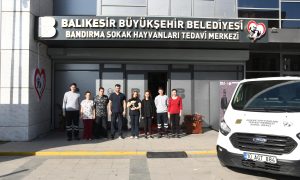 Olta iğnesi yutan kedi doğal ortamına salındı