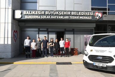 Olta iğnesi yutan kedi doğal ortamına salındı