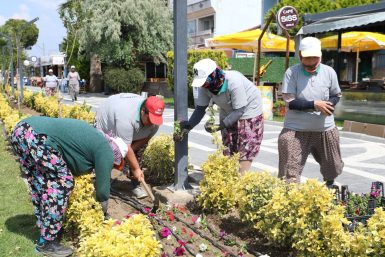BURHANİYE BELEDİYESİ 2023 YILINDA YEŞİL BİR ÇEVRE İÇİN ÇALIŞMALARINI SÜRDÜRDÜ