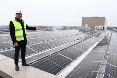 BBB nin Güneş Santralleri binlerce ağacı kurtarıyor