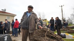 Büyükşehir den üreticilere meyve fidanı desteği