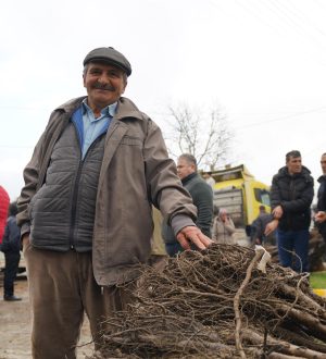 Büyükşehir den üreticilere meyve fidanı desteği