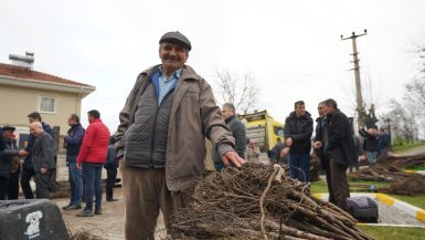 Büyükşehir den üreticilere meyve fidanı desteği