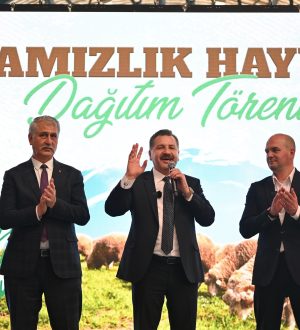 Büyükşehir Savaştepe de 550 küçükbaş dağıttı