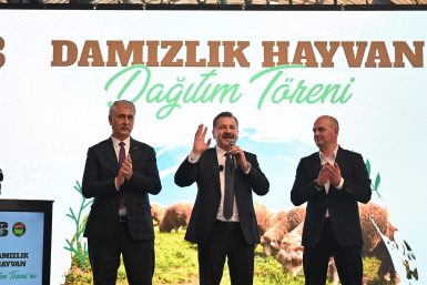 Büyükşehir Savaştepe de 550 küçükbaş dağıttı