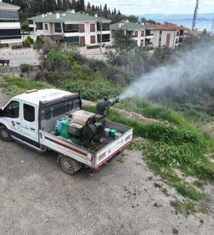 Edremit Belediyesi, uçkunla mücadelede seferberlik başlattı