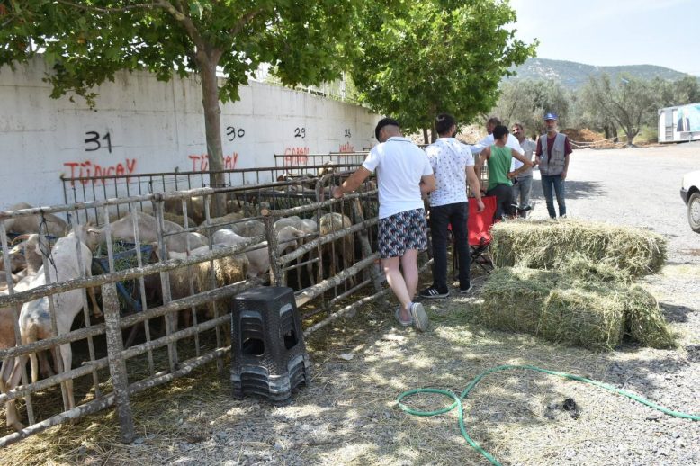 Edremit Kurban Bayrami'na hazir HABER (11)