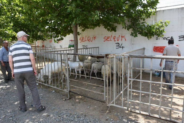 Edremit Kurban Bayrami'na hazir HABER (2)