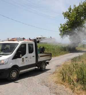 Edremit’te sinekle mücadele sıkı bir şekilde devam ediyor