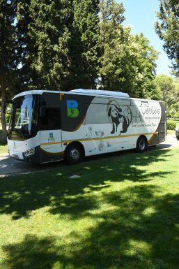 Başkan Ahmet Akın dan can dostlara yuva olun çağrısı