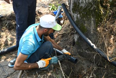 Başkan Akın Erdek te 20 bin zeytin ağacını suya kavuşturdu
