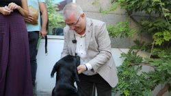 Edremit Belediye Başkanı Mehmet Ertaş Sokak Köpeğini Sahiplendi