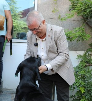 Edremit Belediye Başkanı Mehmet Ertaş Sokak Köpeğini Sahiplendi