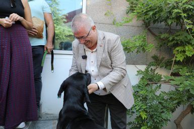 Edremit Belediye Başkanı Mehmet Ertaş Sokak Köpeğini Sahiplendi